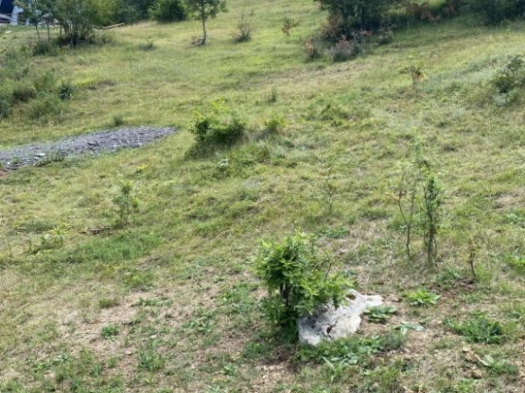 Plac 17000 m² sa pogledom na jezero i asfaltnim pristupom – Plužine