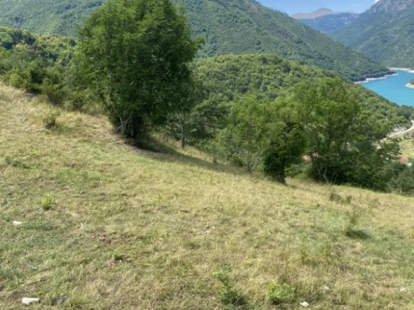 Plac 17000 m² sa pogledom na jezero i asfaltnim pristupom – Plužine