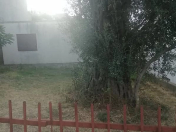 Dvosoban stan 40 m² u prizemlju kuće sa dvorištem – Sutomore, Bar