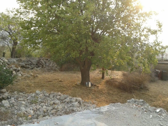 Plac 2025 m² sa pogledom na Stari Bar i planine – Bartula, Bar