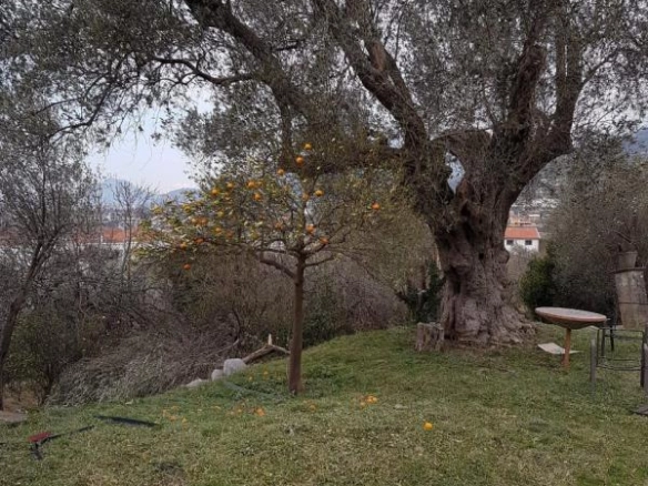 Plac 2025 m² sa pogledom na Stari Bar i planine – Bartula, Bar