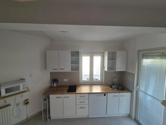 Kuća 403 m² sa placom i postojećim poslovanjem – Petrovac, Budva
