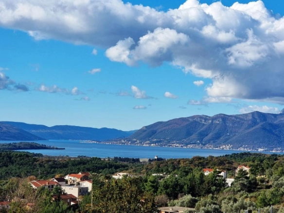 Kotor