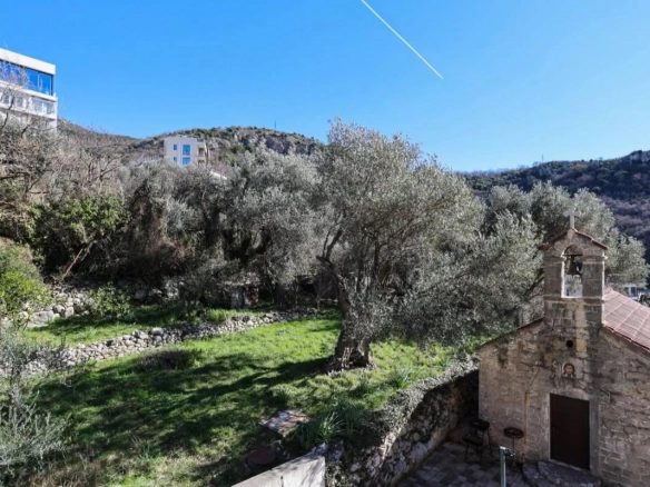 Garsonjera 37 m² sa pogledom na maslinjak – Rafailovići, Budva