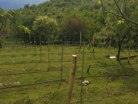 Kuća 180 m² sa pl:acem preko 8000 m² i apartmanima za izdavanje – Danilovgrad