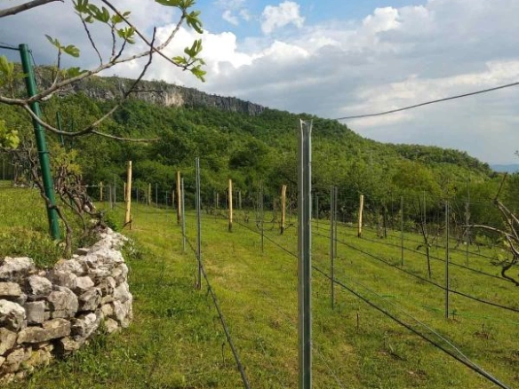 Kuća 180 m² sa pl:acem preko 8000 m² i apartmanima za izdavanje – Danilovgrad