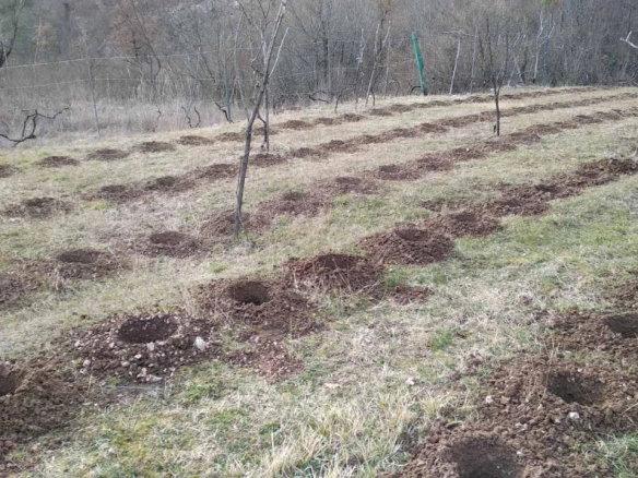 Kuća 180 m² sa pl:acem preko 8000 m² i apartmanima za izdavanje – Danilovgrad