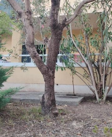 Jednosoban stan 49 m² sa baštom i terasom – Petrovac, Budva