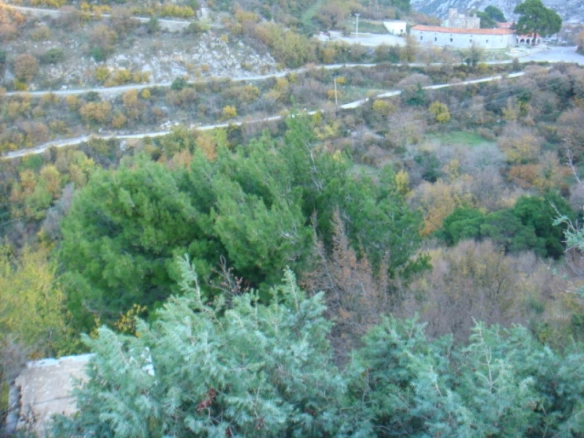 Kotor