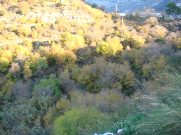 Plac 2000 m² urbanizovan, pogodan za gradnju – Kavač, Kotor