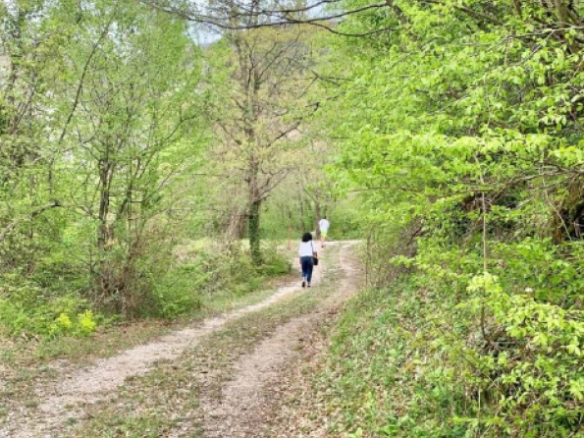 Plac 11857 m² sa pogledom na dolinu i planine – Sutorman, Bar