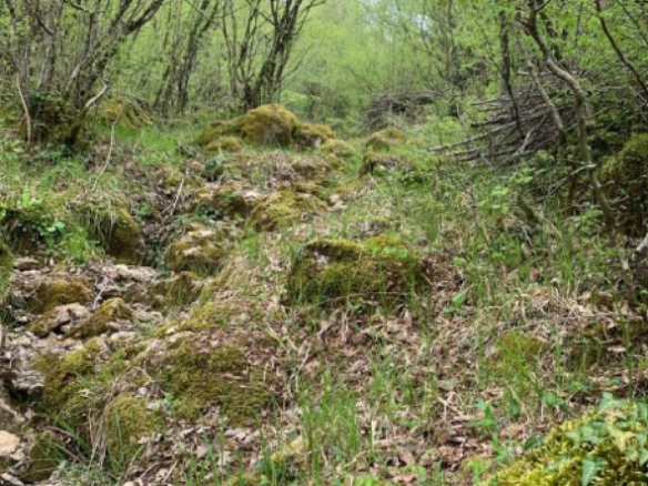 Plac 11857 m² sa pogledom na dolinu i planine – Sutorman, Bar