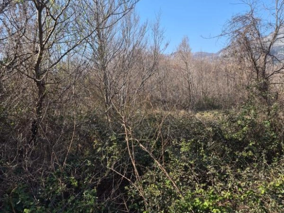 Plac 1242 m² poljoprivrednog zemljišta na ravnom terenu – Buljarica, Budva