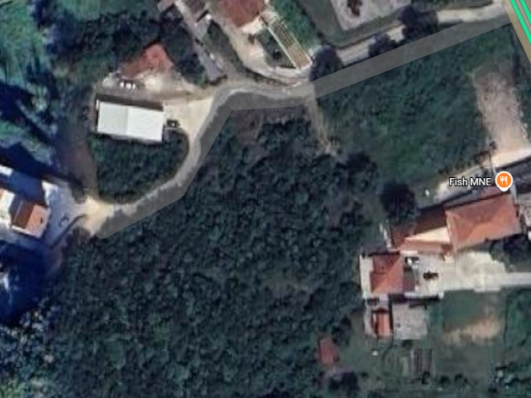 Kotor