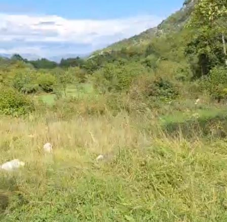 Kuća 45 m² na placu pored jezera, 8 km od centra – Nikšić