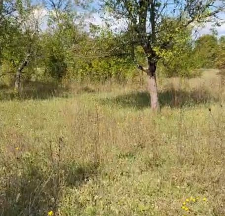 Kuća 45 m² na placu pored jezera, 8 km od centra – Nikšić