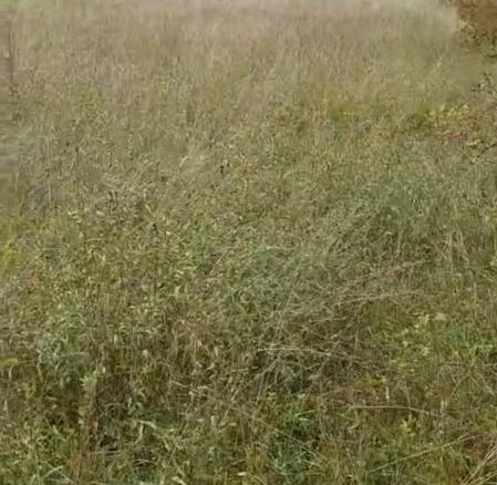 Kuća 45 m² na placu pored jezera, 8 km od centra – Nikšić