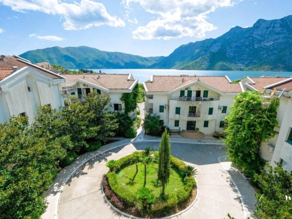Kotor