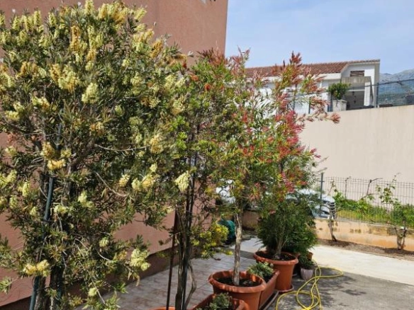 Kuća 238 m² potpuno renovirana 2021. na ograđenom placu – centar Budve