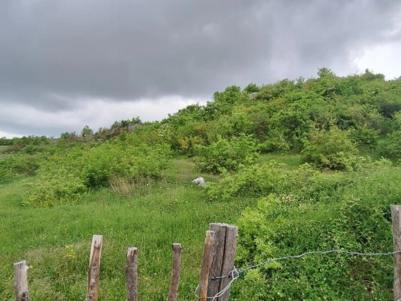 Plac 12650 m² u slikovitom okruženju, 30 minuta od centra – Podgorica