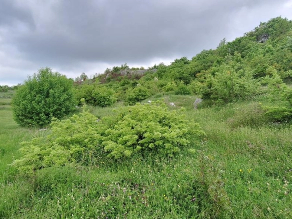 Plac 12650 m² u slikovitom okruženju, 30 minuta od centra – Podgorica