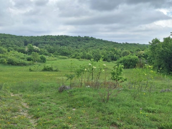 Plac 12650 m² u slikovitom okruženju, 30 minuta od centra – Podgorica