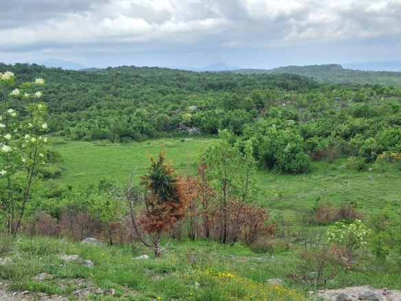 Plac 12650 m² u slikovitom okruženju, 30 minuta od centra – Podgorica
