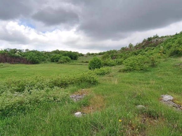 Plac 12650 m² u slikovitom okruženju, 30 minuta od centra – Podgorica