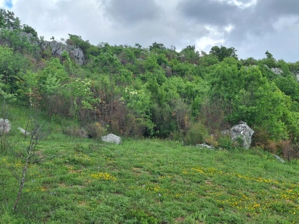 Plac 12650 m² u slikovitom okruženju, 30 minuta od centra – Podgorica