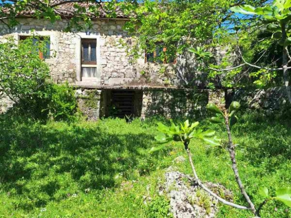Danilovgrad