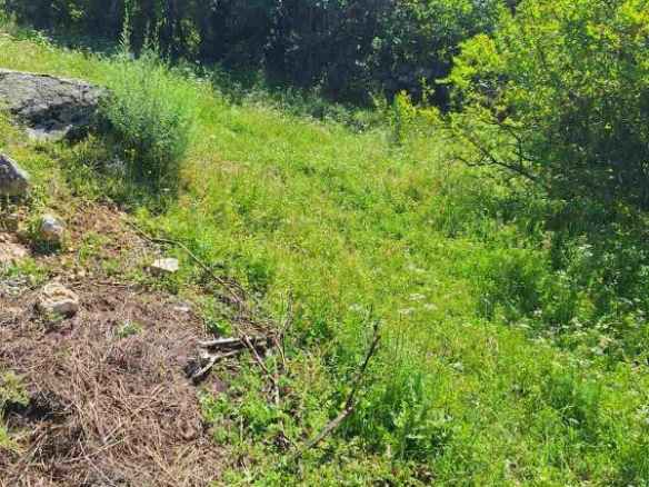 Kuća 73 m² na prostranom placu u mirnom kraju – Danilovgrad