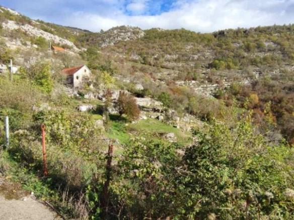 Cetinje