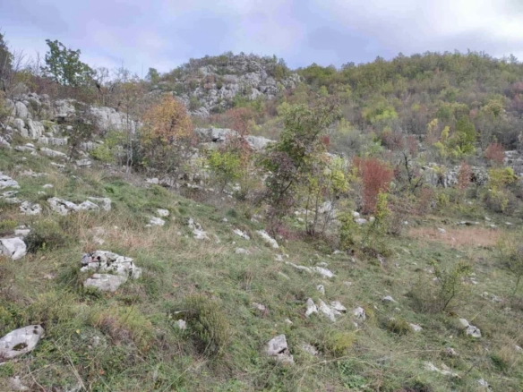Plac 26000 m² sa lijepim pogledom u selu Čevo – Cetinje