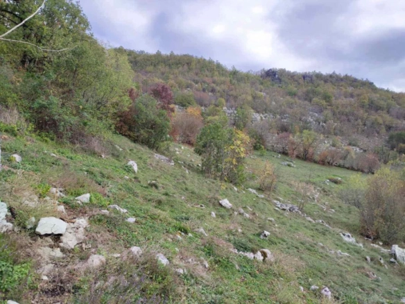 Plac 26000 m² sa lijepim pogledom u selu Čevo – Cetinje