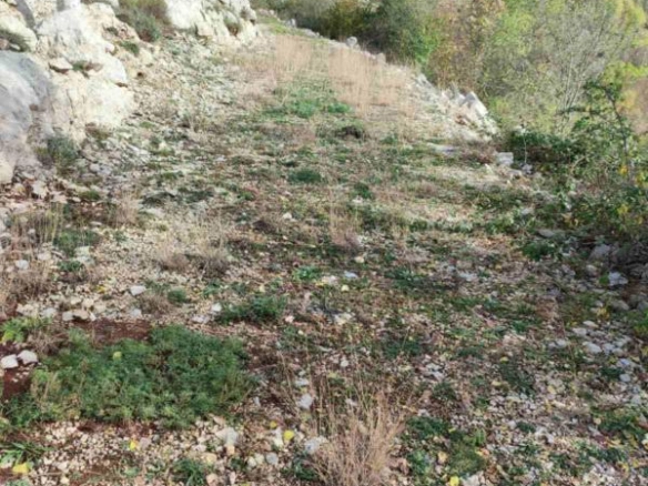 Plac 26000 m² sa lijepim pogledom u selu Čevo – Cetinje