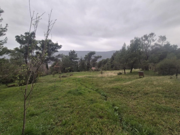 Plac 980 m² sa pogledom na more i planine – Mojdež, Herceg Novi