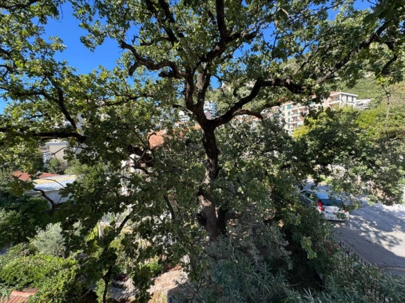 Bečići