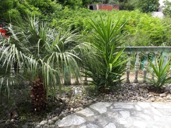 Tivat
