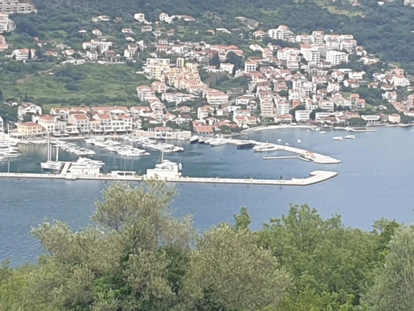 Luštica