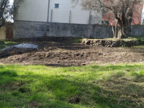 Plac 449 m² sa maslinama i strujom na placu – Kruče, Ulcinj