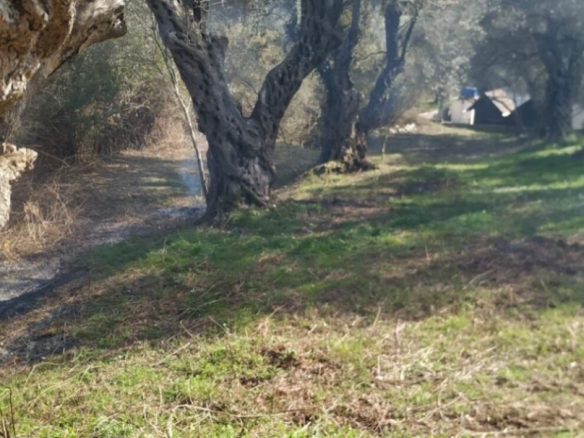 Plac 449 m² sa maslinama i strujom na placu – Kruče, Ulcinj