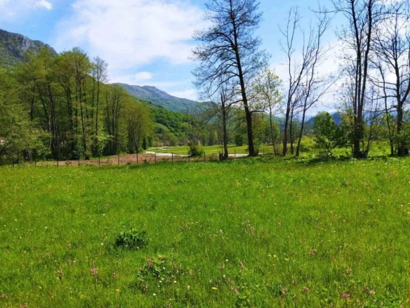 Plac 10000 m² kroz koji protiče rijeka, pogodan za kampovanje – Kolašin