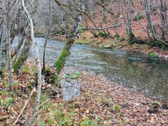 Plac 10000 m² kroz koji protiče rijeka, pogodan za kampovanje – Kolašin