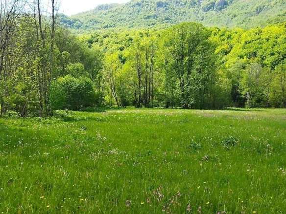 Plac 10000 m² kroz koji protiče rijeka, pogodan za kampovanje – Kolašin