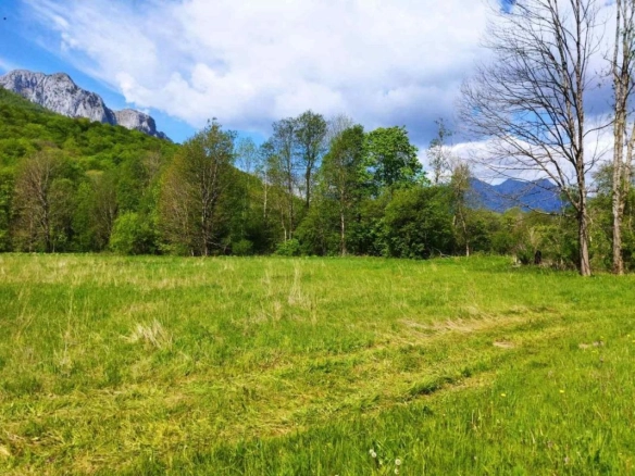 Plac 10000 m² kroz koji protiče rijeka, pogodan za kampovanje – Kolašin