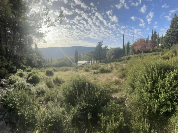 Herceg Novi