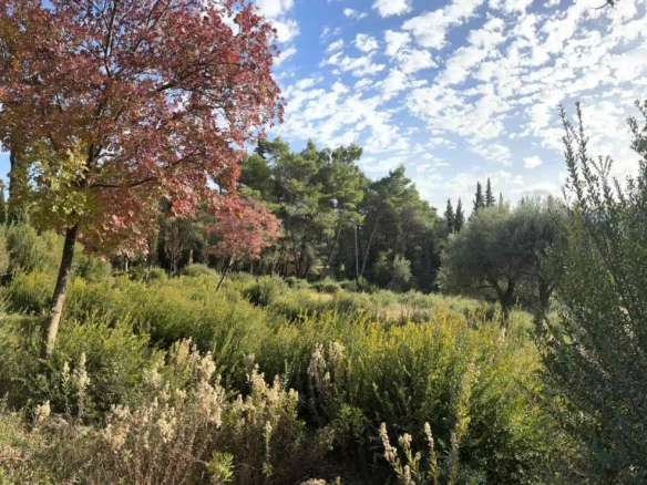 Plac 1334 m² urbanizovan, struja i voda 10 m od placa – Sušćepan, Herceg Novi