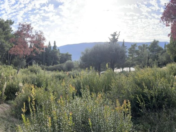 Plac 1334 m² urbanizovan, struja i voda 10 m od placa – Sušćepan, Herceg Novi