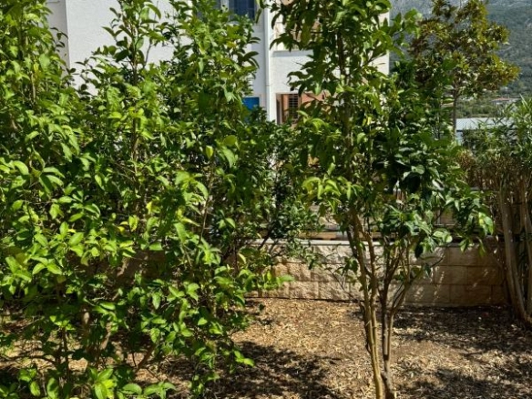 Vila 306 m² sa bazenom i pogledom na more – Dobra Voda, Bar