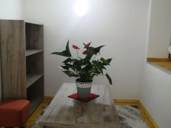 Dva stana 58 m² na 300 m od mora, namještena – Sutomore, Bar
